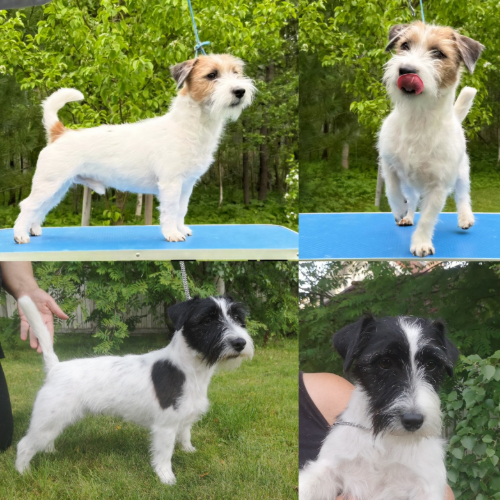 Arianna Alma Libre "Nona"