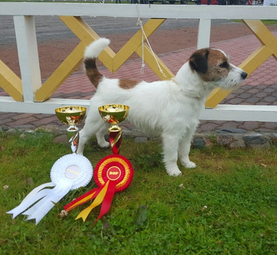 FI MVA EE MVA LV MVA LT MVA BALT MVA SUAKKUNAN RAVEI RURIK "Micha"